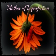 Mother of Imperfection blog button