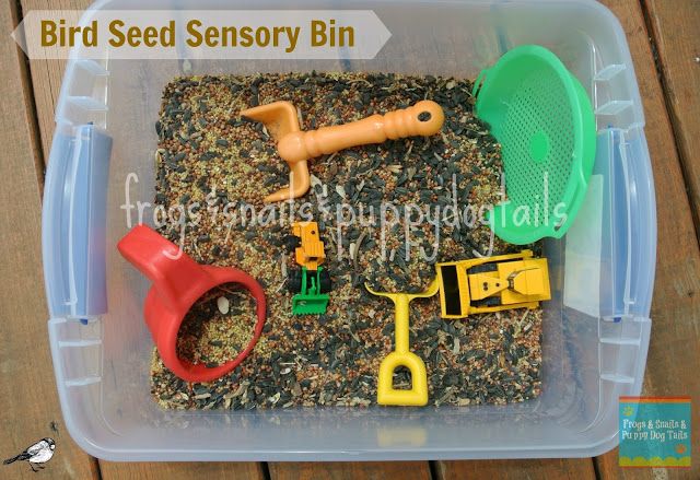 Bird seed makes an excellent sensory play medium for toddlers and preschoolers.