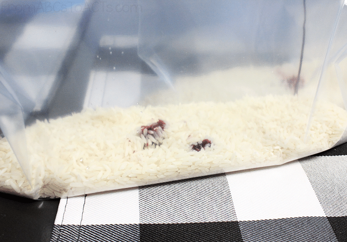 Easy Step by Step Instructions for Dying Rice for Sensory Play