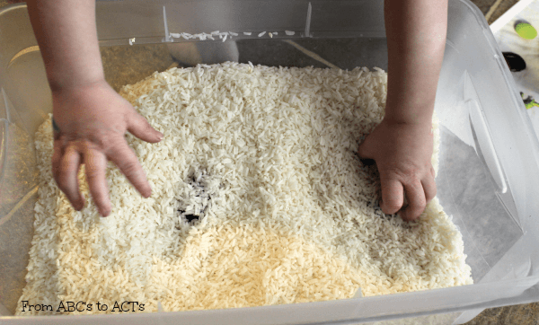 Search through the rice to find all of the hidden items in your I-Spy sensory bin.