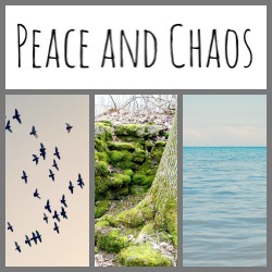 Peace and Chaos Blog Button
