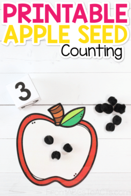 Work on counting, number recognition, one-to-one correspondence, fine motor skills, and more this fall with this printable apple seed counting activity!