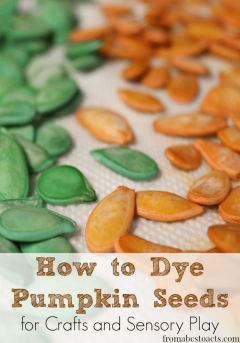 Dye Pumpkin Seeds for Crafts