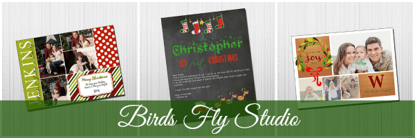 Birds Fly Studio