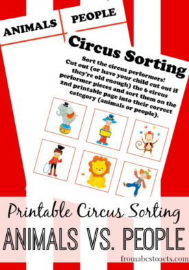 Circus Sorting - Animals and People