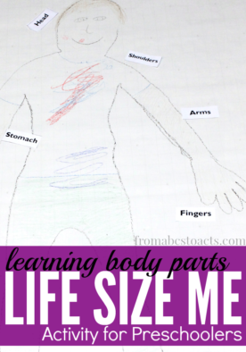 Drawing a self portrait will become your preschooler's favorite activity after they create their own Life Size Me! You can even use it to practice the names of body parts!