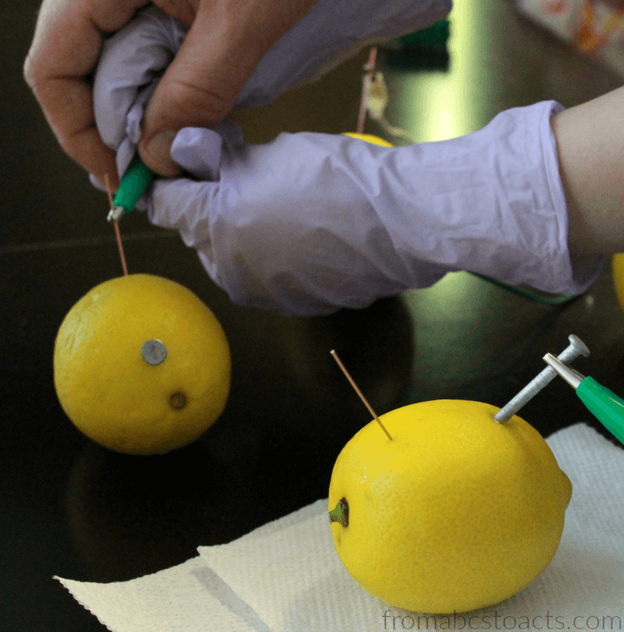 Making a Battery Using Lemons