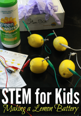 Did you know that you could power a light bulb with fruit? Well, you can! Find out how with this lemon battery STEM experiment! #NaturalPotential #sp