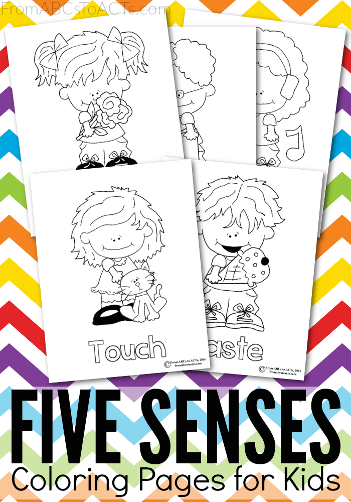 Start teaching your preschooler all about the five senses with these adorable (and free!) printable coloring pages.