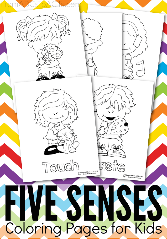 Five Senses Printable Coloring Pages From ABCs To ACTs