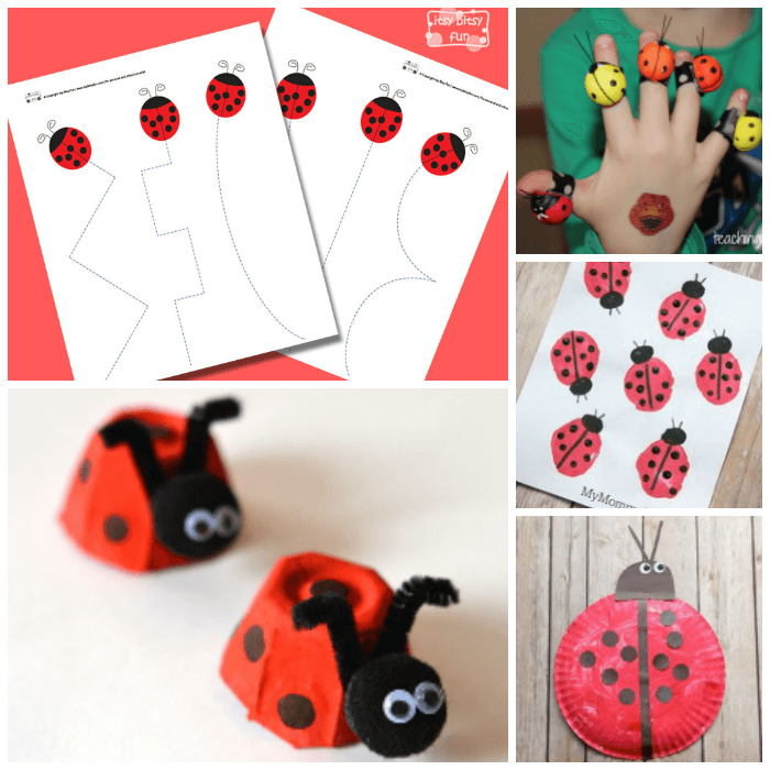 Bug and Insect Crafts Preschool Ladybugs