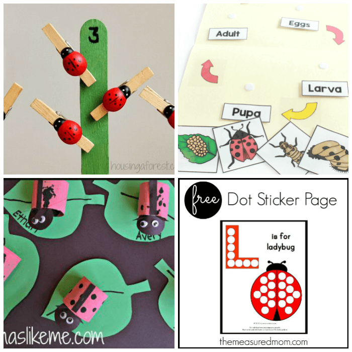 Spring Ladybug Crafts and Activities for Kids