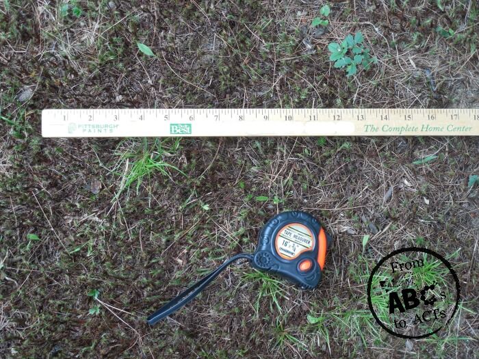 Tools for Tree Measuring Outdoor STEM Activity