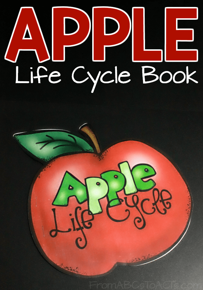 Add a little science to your apple unit study this fall with this printable apple life cycle book! Perfect for kindergartners!