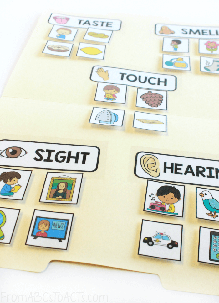 5 Senses Sorting Game for Kids