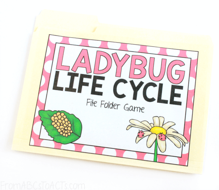 Ladybug Life Cycle Game for Kids