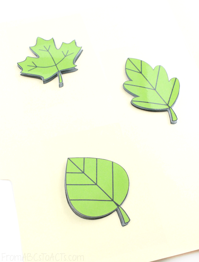Leaf Print Matching for Preschoolers