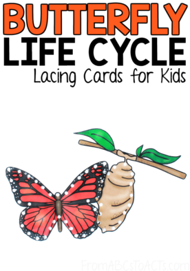 Learn all about the butterfly life cycle while working on those fine motor skills at the same time with these printable butterfly life cycle lacing cards for preschoolers!