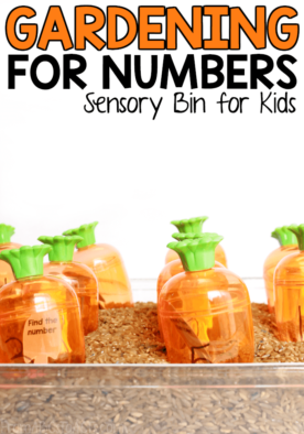 Work on math skills while learning a little bit about gardening with this fun gardening for numbers sensory bin for kids!