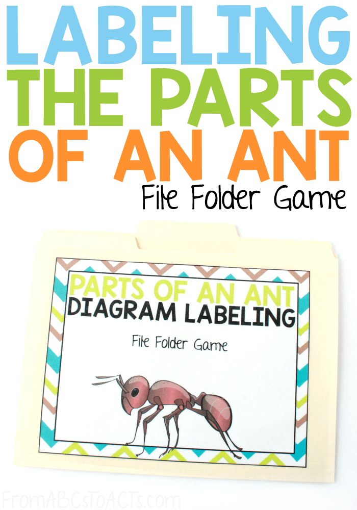 Explore the various parts of an ant with this insect labeling file folder game for kids! A quick and easy way to make science fun! #FromABCsToACTs