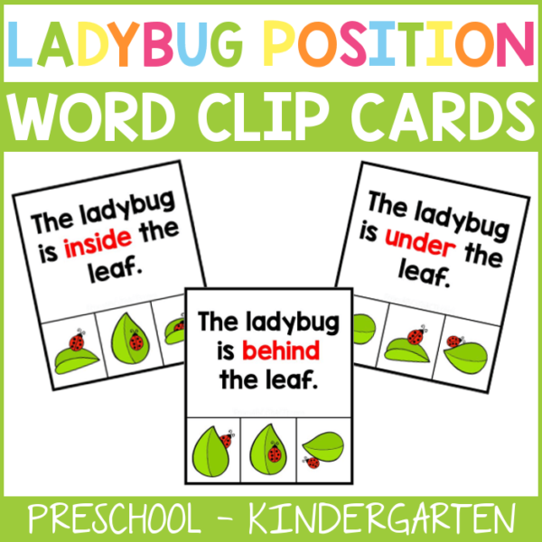 Ladybug Position Word Cards