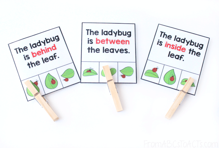 Ladybug Position Word Clip Cards for Kids