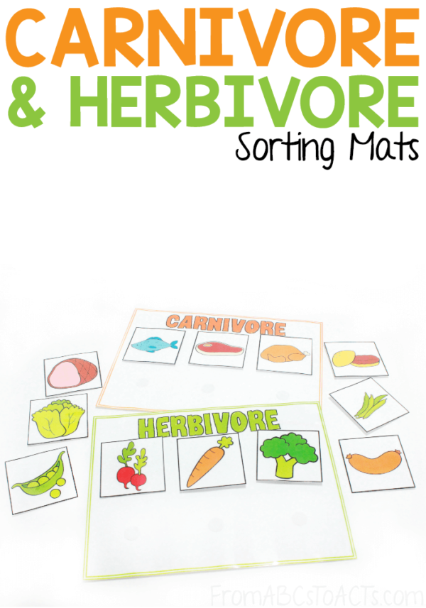 Carnivore And Herbivore Sorting - From ABCs To ACTs