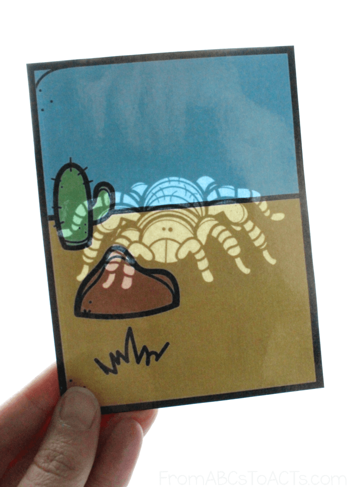 Desert Habitat Flashlight Cards