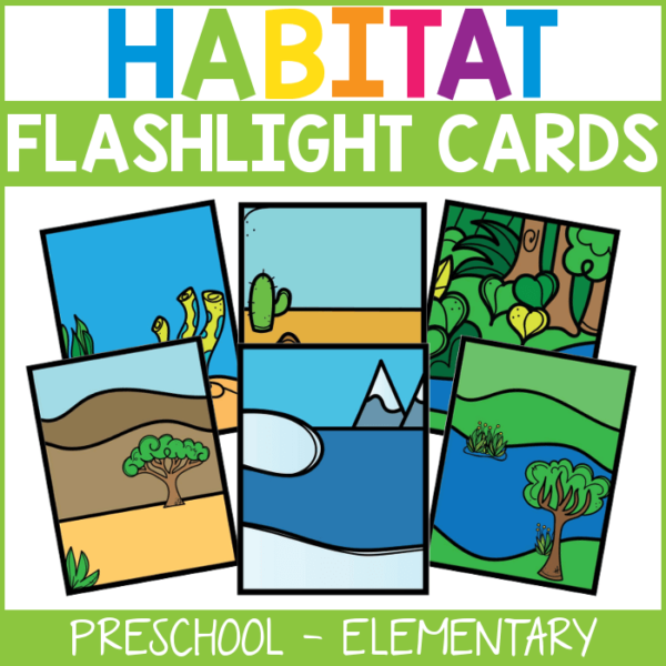 Hidden Animal Habitat Flashlight Cards