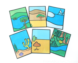Animal Habitat Flashlight Cards - From ABCs to ACTs