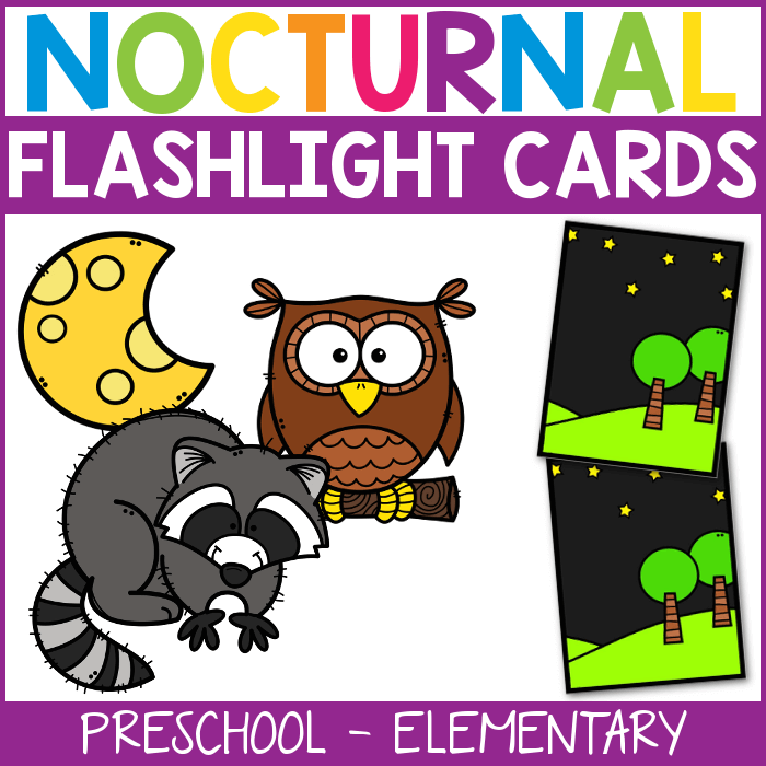 Nocturnal Animal Flashlight Cards - From ABCs to ACTs