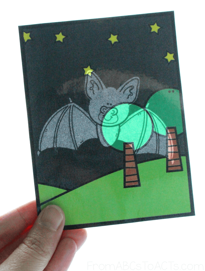 Bat Nocturnal Flashlight Cards