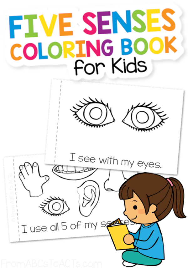 Five Senses Coloring Book - From ABCs to ACTs
