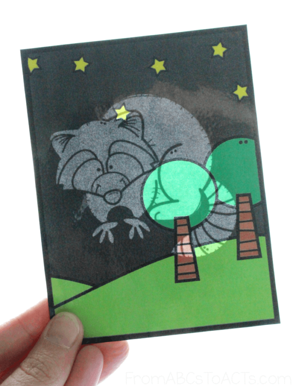 Raccoon Nocturnal Animal Flashlight Cards