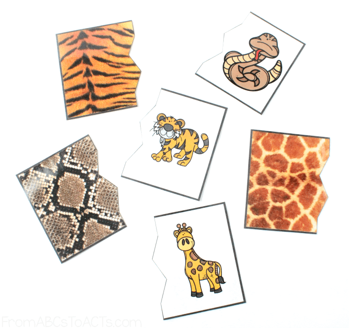 Match the Skin to the Animal Puzzles
