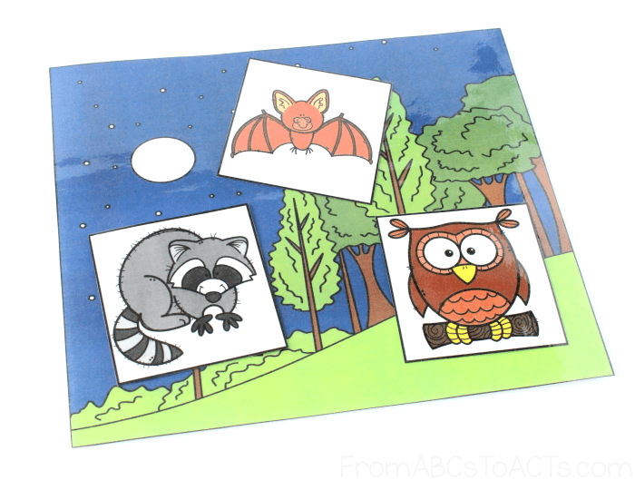 Nocturnal Animal Sorting Mat with Raccoon, Bat, and Owl Sorting Cards