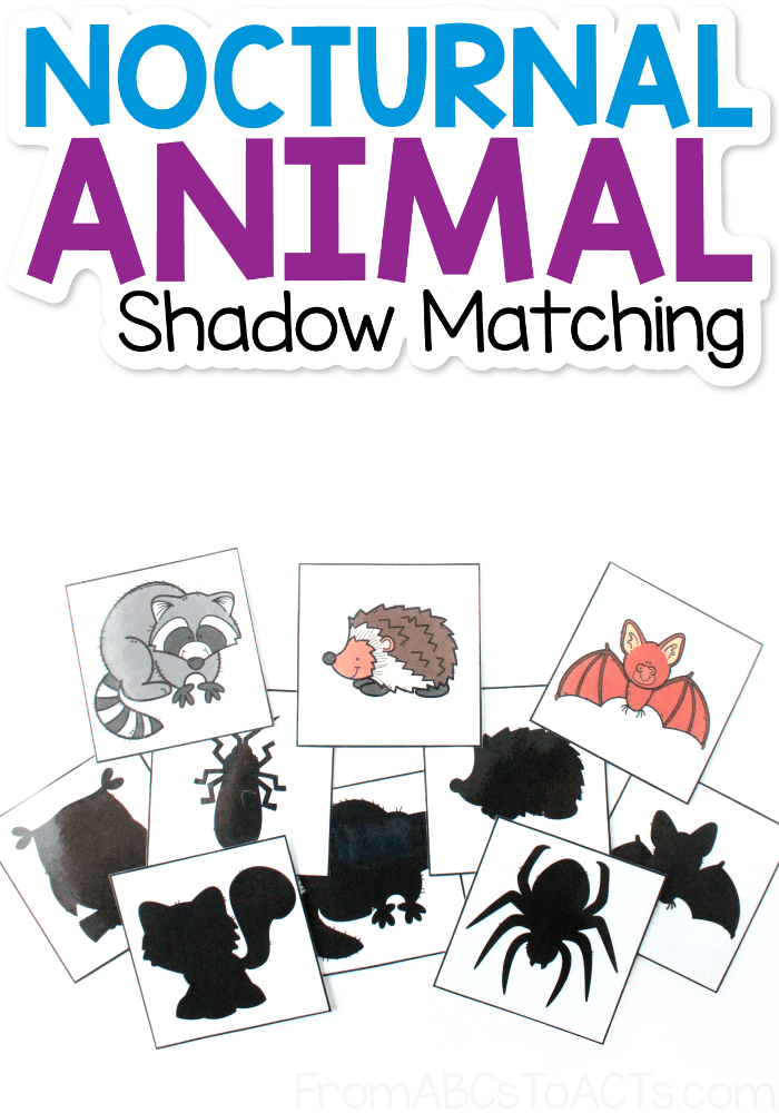 Nocturnal Animal Shadow Matching - From ABCs to ACTs