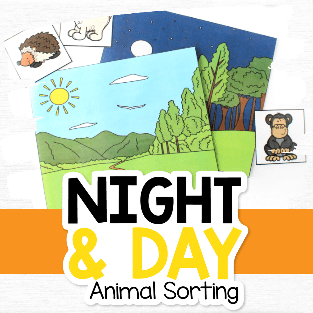 Night and Day Animal Sorting