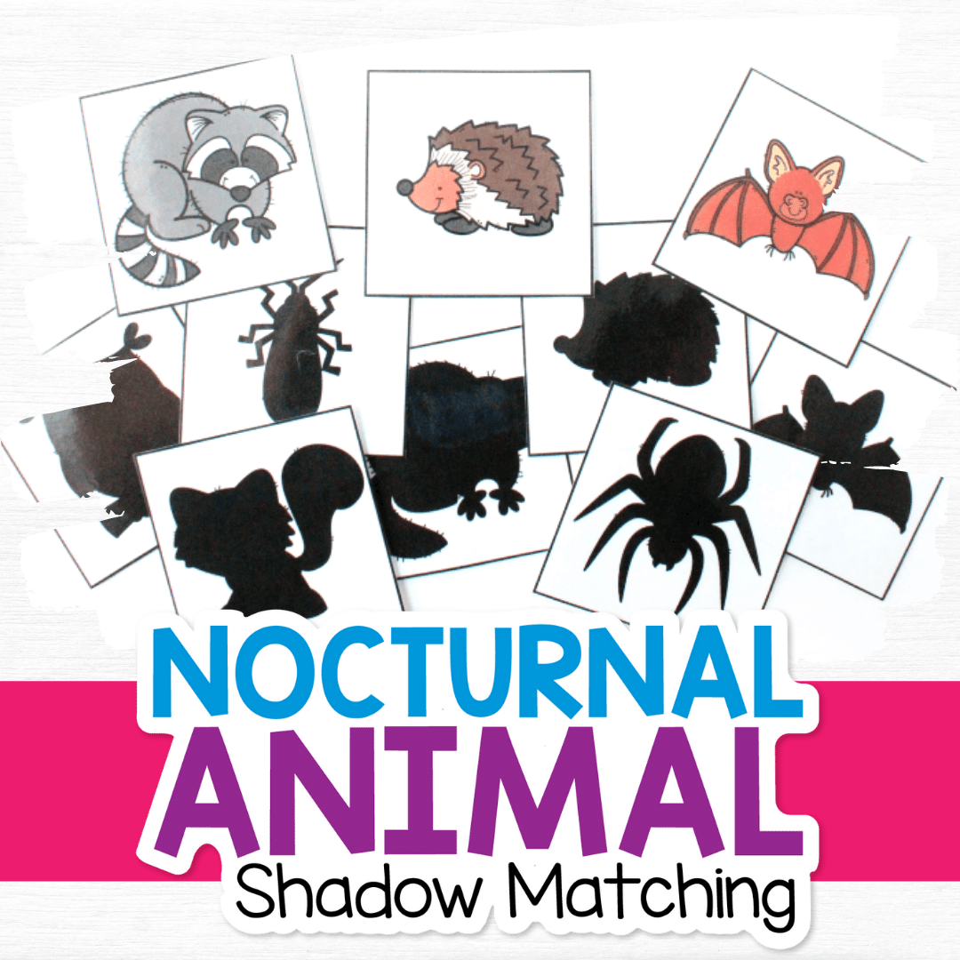 Nocturnal Animal Shadow Matching 1