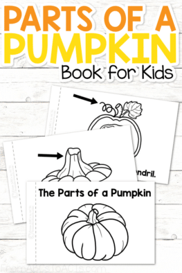 Teach your preschoolers and kindergarteners about the different pumpkin parts this fall with this printable parts of a pumpkin book for kids!