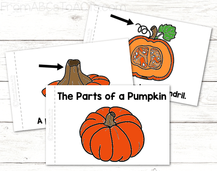 Printable Parts of a Pumpkin Book for Kids