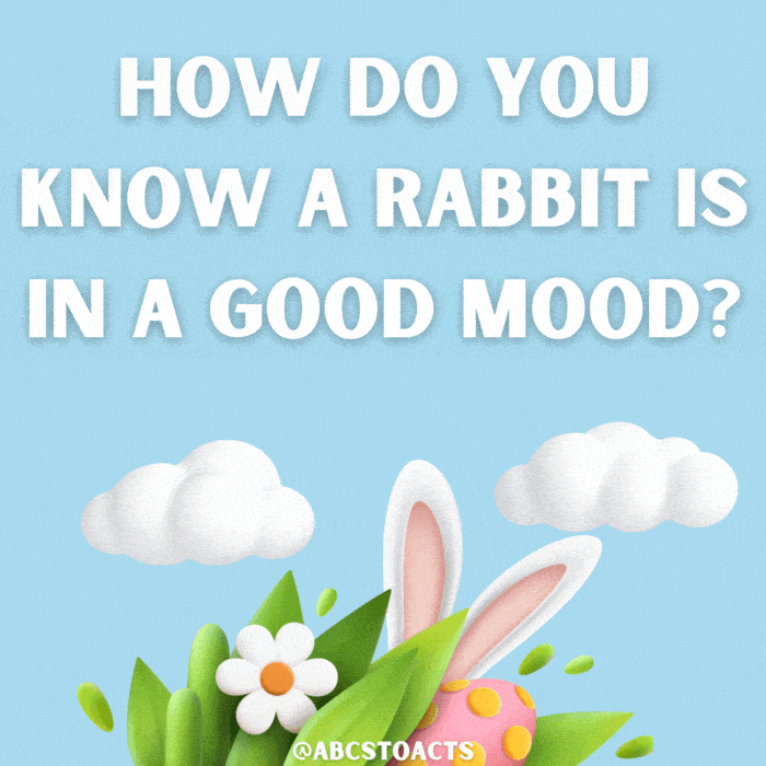 How do you know a rabbit is in a good mood