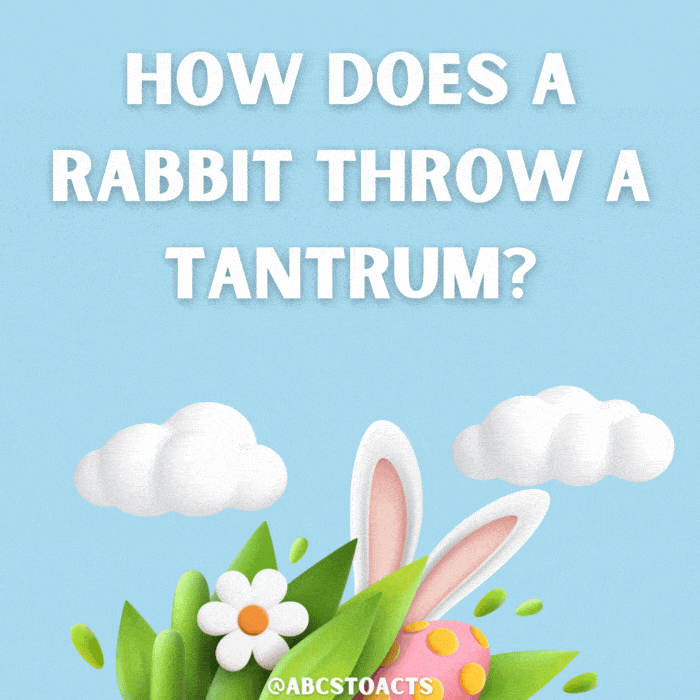 How does a rabbit throw a tantrum