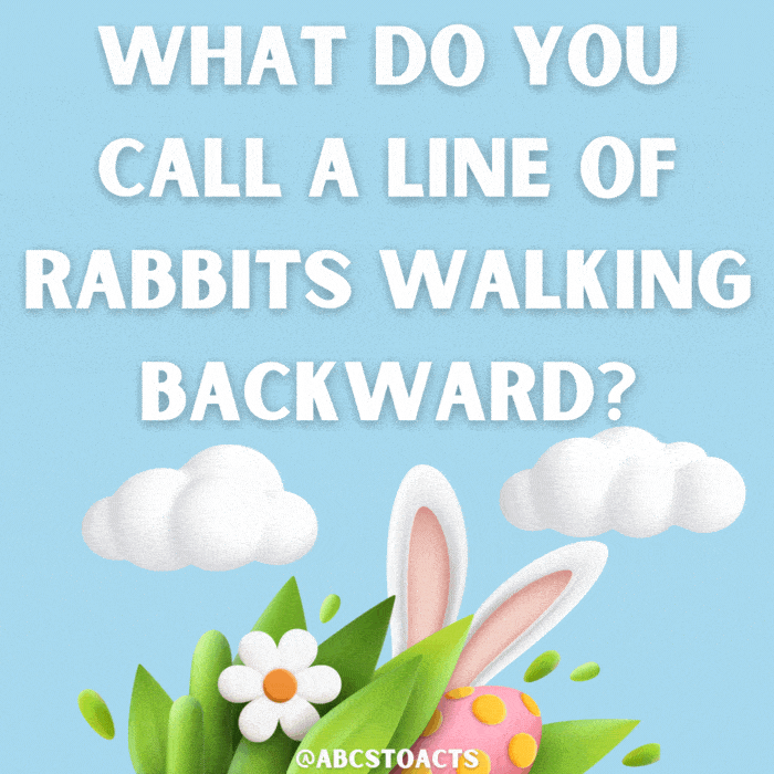 What do you call a line of rabbits walking backward