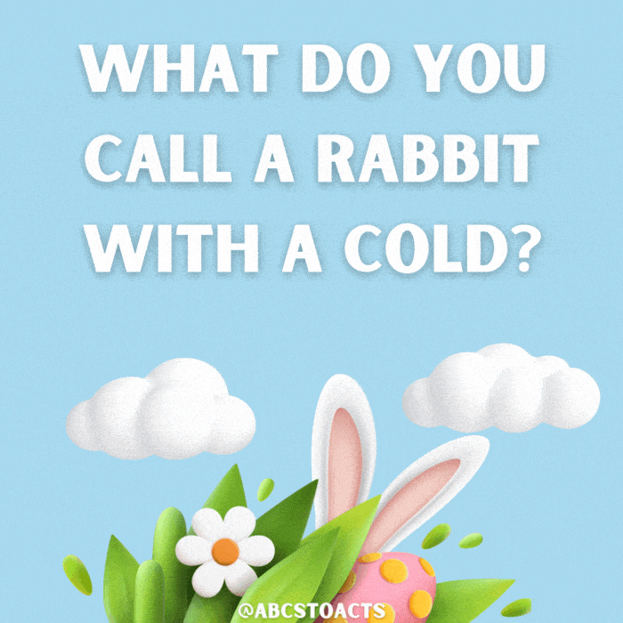 What do you call a rabbit with a cold